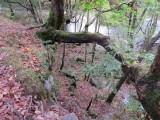 Burpham Dads - Training Walk at Brecon Waterfalls 20 Oct 2013  (86).jpg