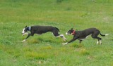 Trip & Maggie - no, she couldnt catch him!