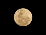 Super Moon at our place