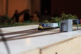 IMG_23105.JPG