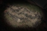 DSC_2720.jpg