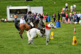 14 HCR Gymkhana 00024.jpg