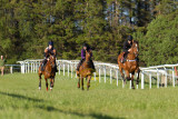 15 ILF Mosstroopers Racing 00052.jpg