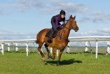 15 ILF Mosstroopers Racing 00063.jpg