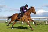 15 ILF Mosstroopers Racing 00065.jpg