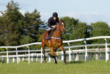 15 ILF Mosstroopers Racing 00068.jpg