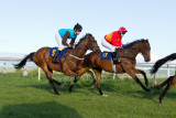 15 ILF Mosstroopers Racing 00101.jpg