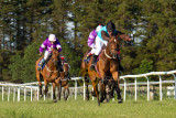 15 ILF Mosstroopers Racing 00110.jpg