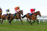 15 ILF Mosstroopers Racing 00139.jpg
