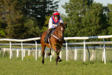 15 ILF Mosstroopers Racing 00157.jpg