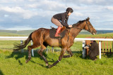 15 ILF Mosstroopers Racing 00179.jpg