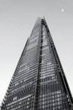 Seagulls and the Shard