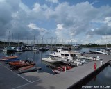 016 - Sunny By The Harbour.jpg
