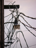 Electricians Nightmare-Indianola