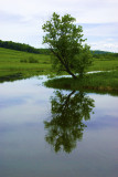 CD_IGP2873-2.jpg