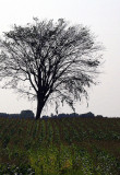 GD_IGP5299.jpg