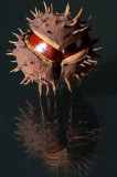 RM_141001-04-Atelier macro photo.jpg