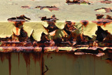 MA_DSC_0078.jpg