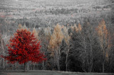 MA_DSC_0716_2.jpg