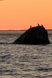 PG_Luce2_5622_DxO.jpg