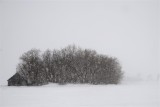 2014-02-14_173a (Medium).JPG