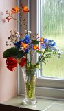 Flowers in window light