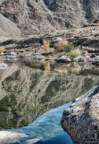 Wadi Reflections.