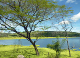 Lake Managua