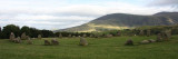 Castlerigg