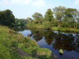 Late Summer on the River Tees, Hurworth