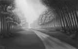 Forest 4.1 - 1280.jpg
