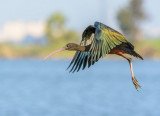 A colorful parachutist