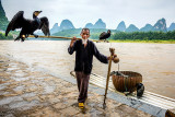 The Cormorant Fisherman (pun intended...)