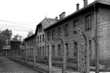 Auschwitz Housing 