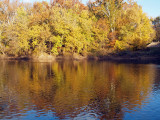 Reflections on the Monocacy river