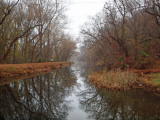 Canal at Swains Lock