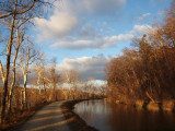 The curve of the canal