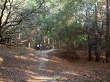 Near the end of the trail