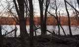 Sunlight on the opposite shore of the Potomac