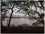 Across the Adyar river