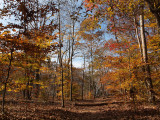 Colorful trail