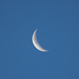Crescent moon over the morning landscape
