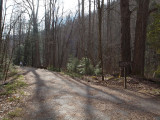 Starting on the Little River trail in Elkmont