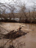 Mud flowing downstream