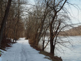Trail beside the river
