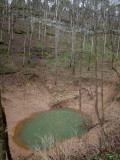 Sinkhole at Mammoth Cave National Park