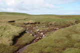 Meadows with streams flowing through - Butt of Lewis