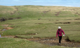 Crossing the meadow at the Butt of Lewis