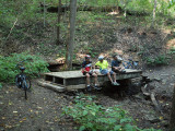 A late lunch in the woods