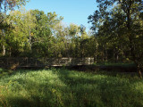 Bridge across the creek